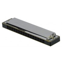 Walther 1020 orglice